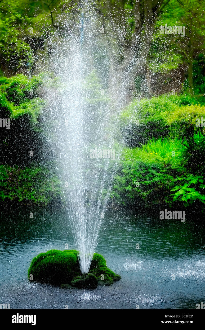 Fontana con un fogliame verde dello sfondo giardini Derwent Matlock Bath Derbyshire England Regno Unito Foto Stock