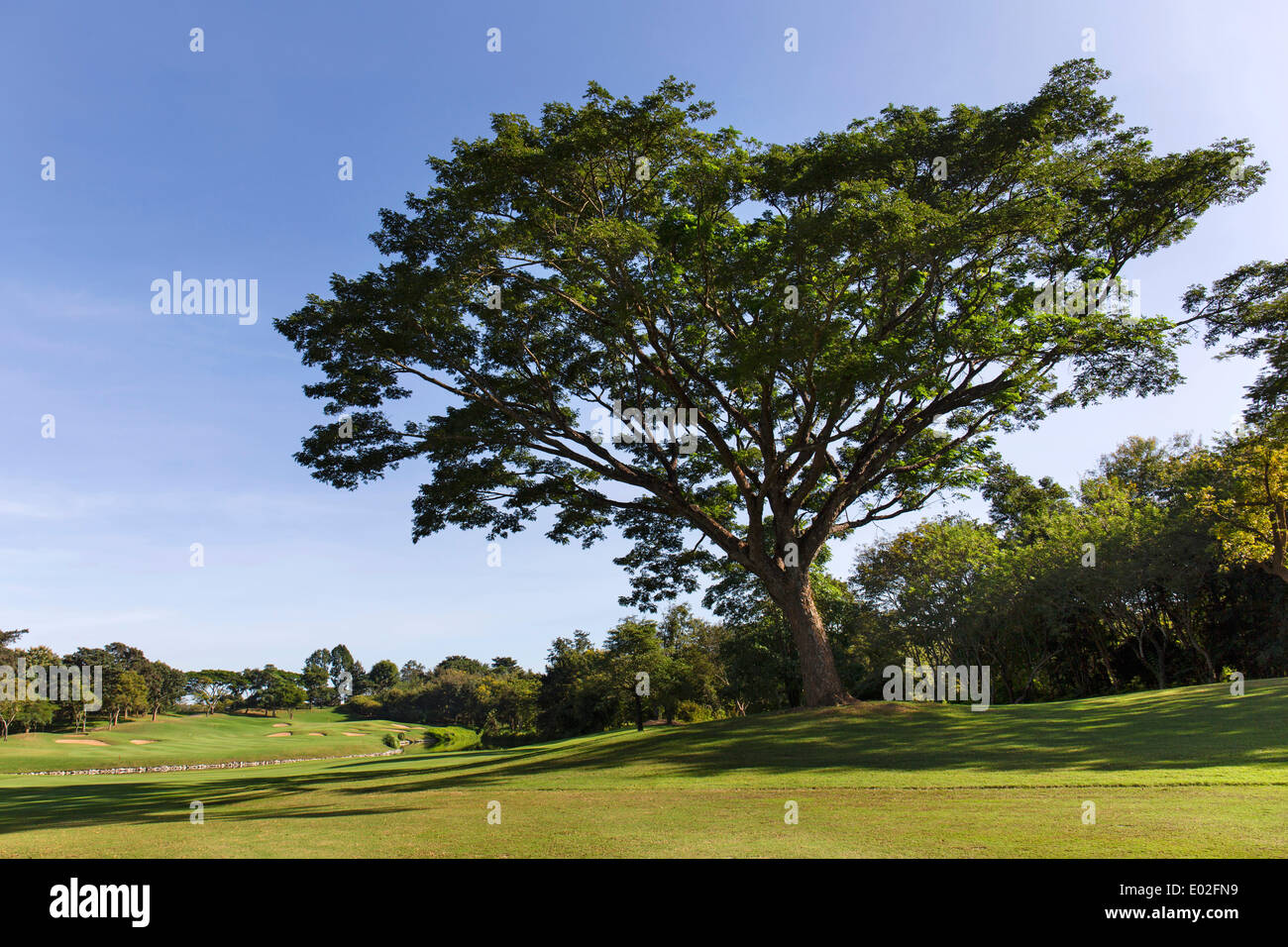 Santiburi Golf, Chiang Rai, provincia di Chiang Rai, Thailandia del Nord della Thailandia Foto Stock