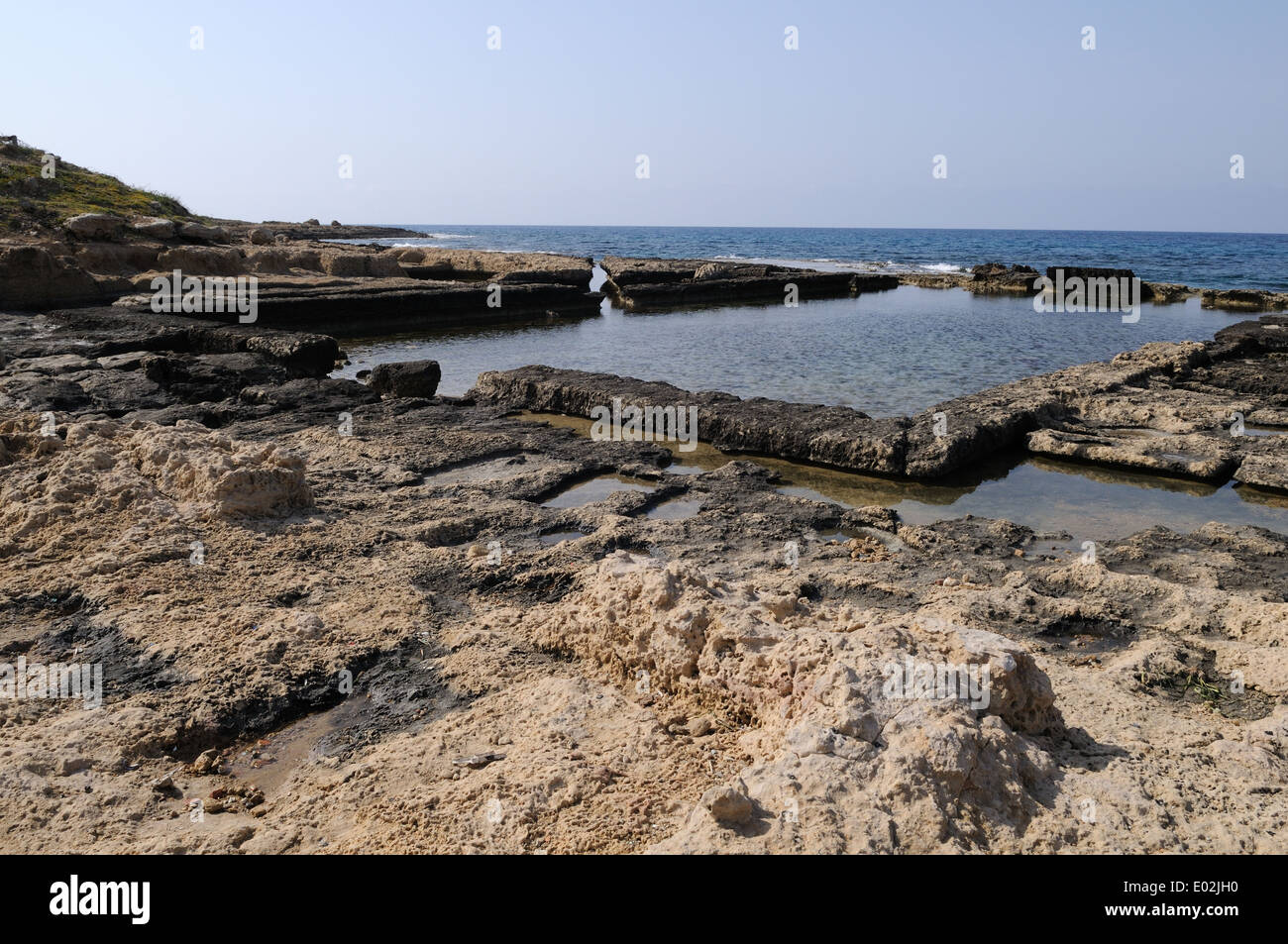 Lambusa pesce romana piscine Lapta Cipro del Nord Foto Stock