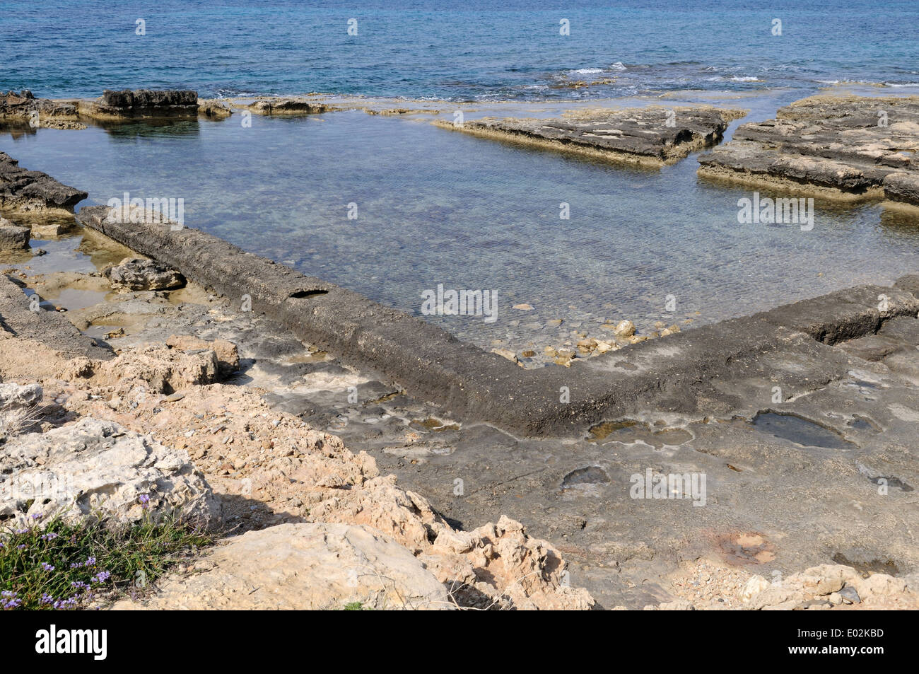 Lambusa pesce romana piscine Lapta Cipro del Nord Foto Stock