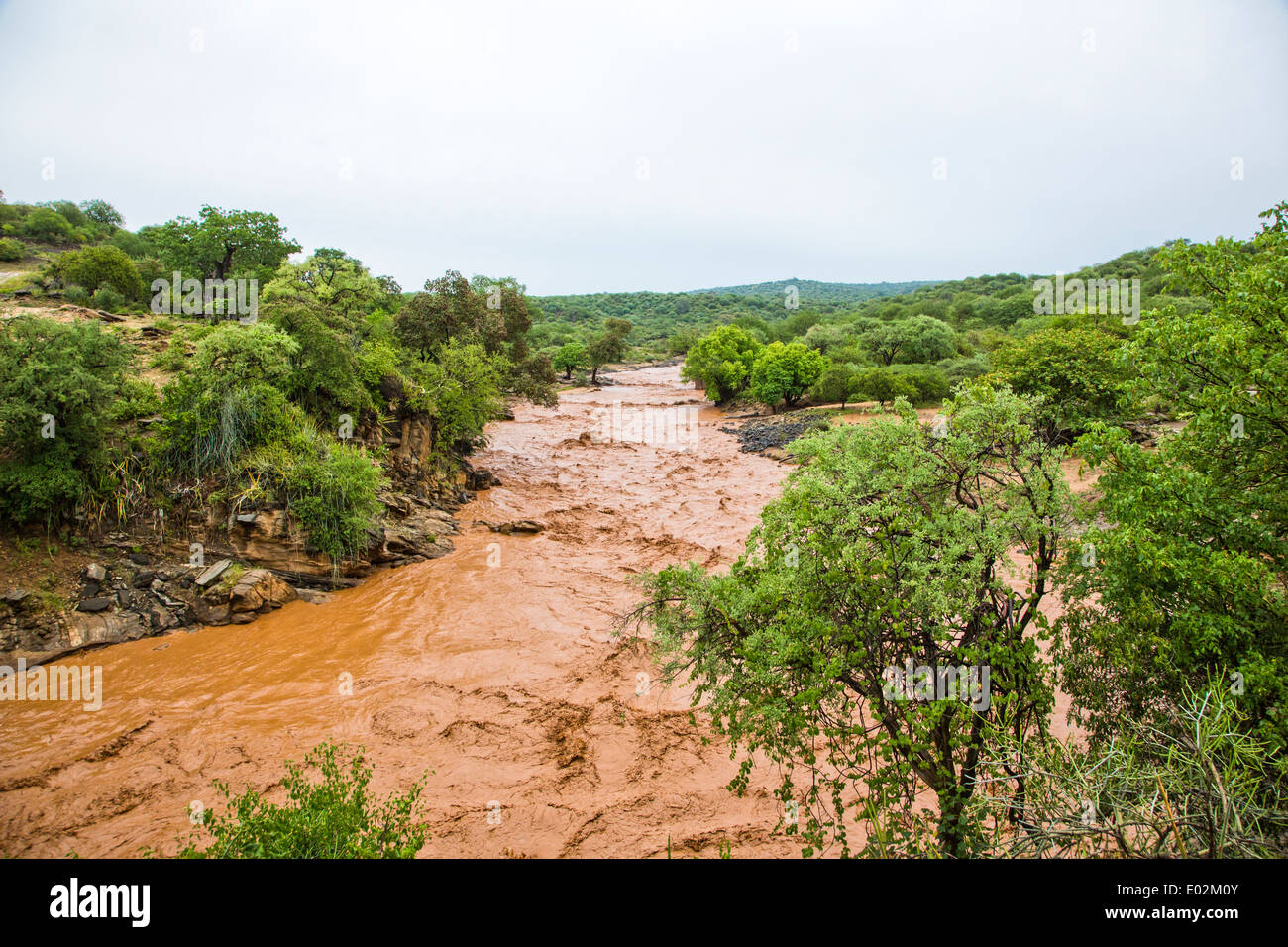 Inondazione, marrone acqua fangosa, vicino al lago Eyasi, Tanzania Foto Stock