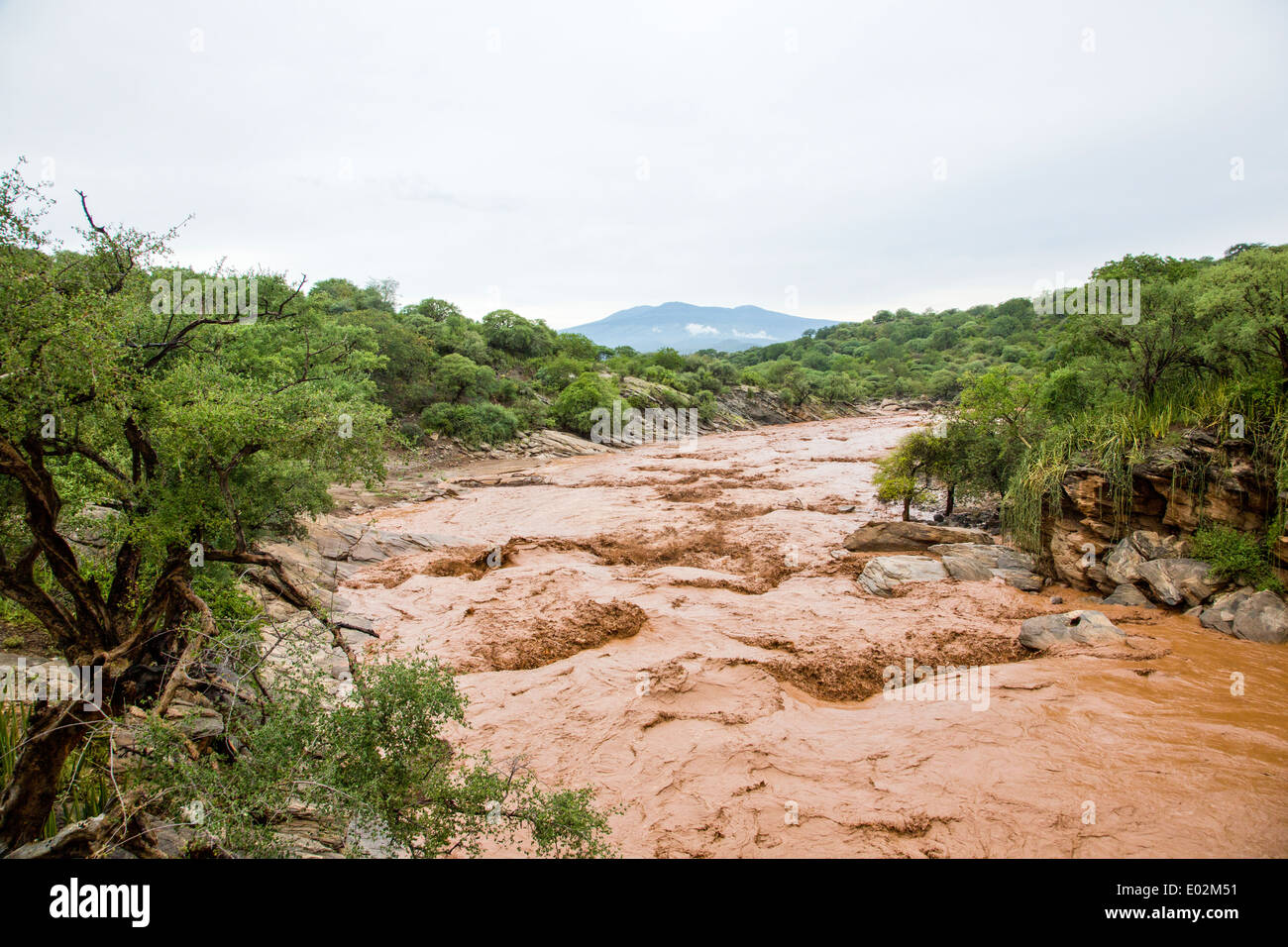 Inondazione, marrone acqua fangosa, vicino al lago Eyasi, Tanzania Foto Stock