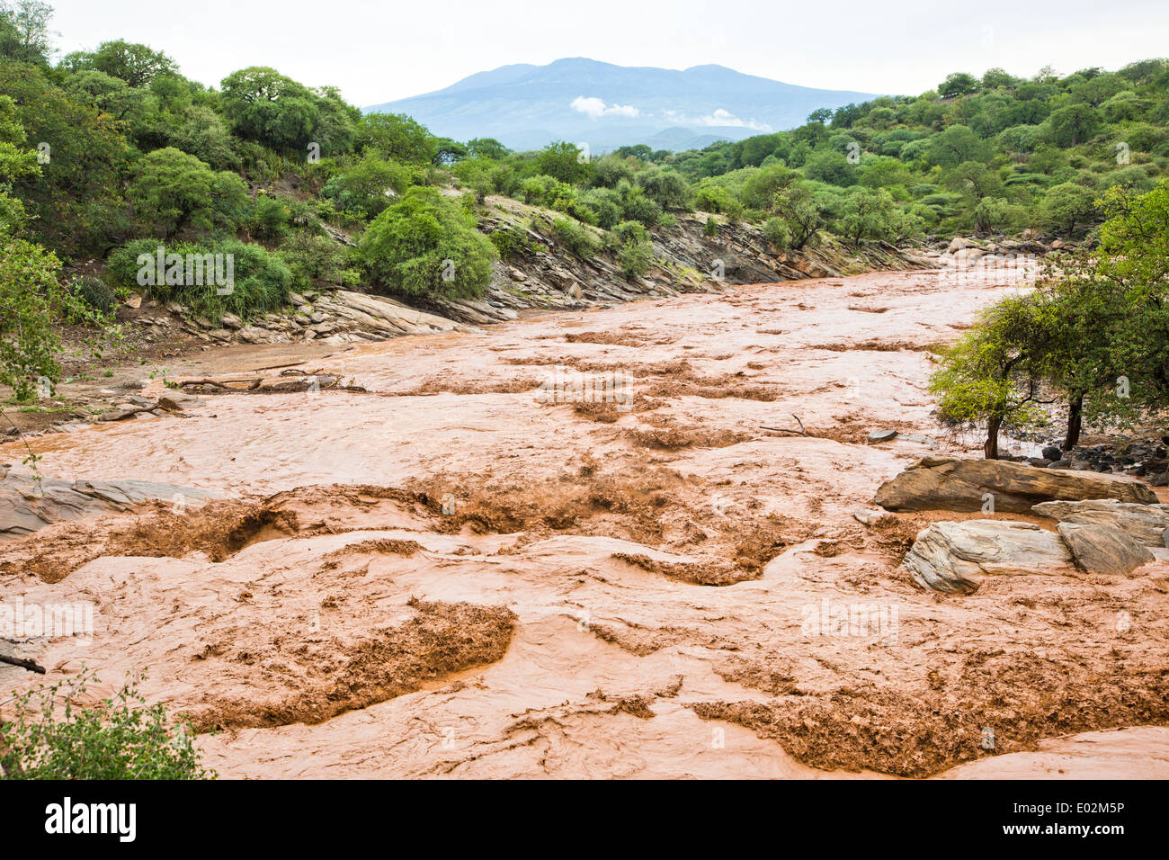 Inondazione, marrone acqua fangosa, vicino al lago Eyasi, Tanzania Foto Stock