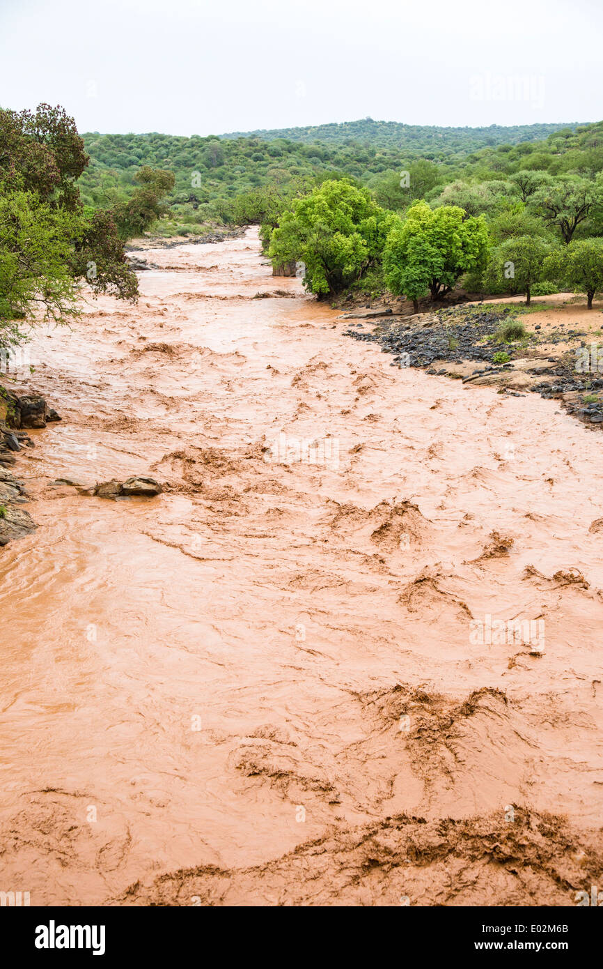 Inondazione, marrone acqua fangosa, vicino al lago Eyasi, Tanzania Foto Stock