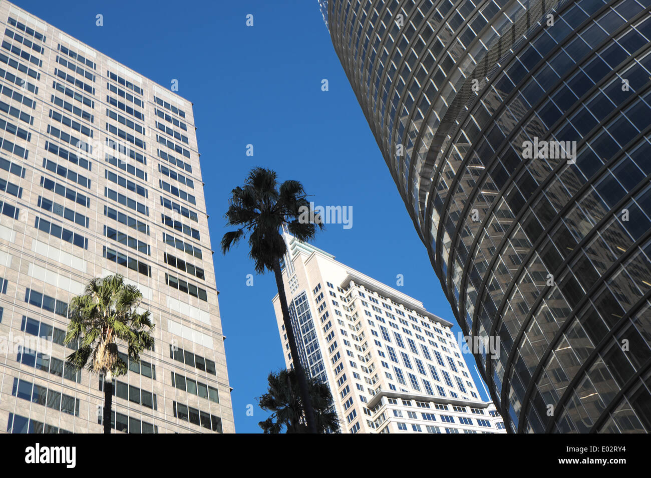 Governor macquarie Tower (a sinistra) e No 1 bligh Street nel centro di Sydney, NSW Australia, grattacieli alti Foto Stock