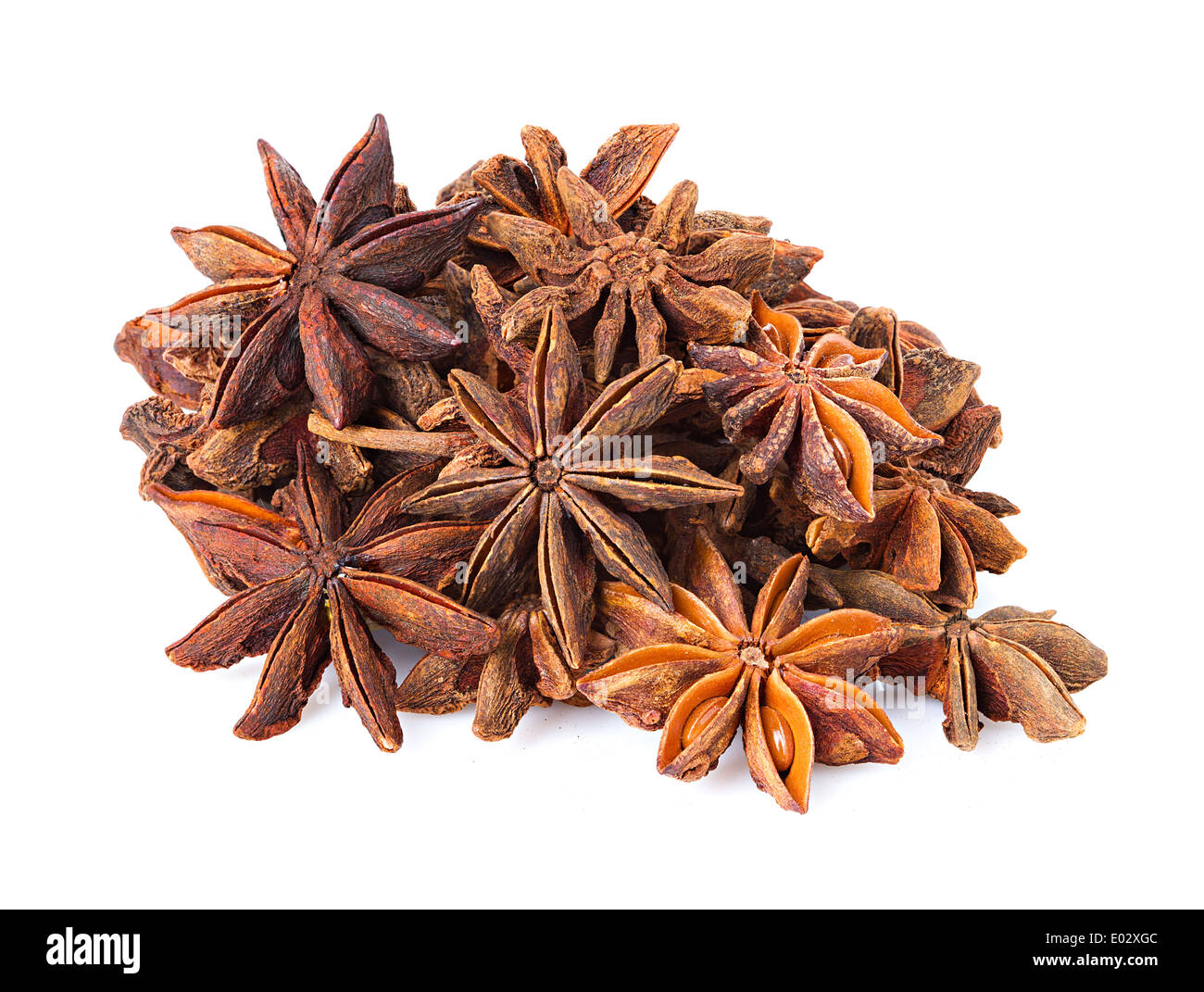 Anice stelle su sfondo bianco Foto Stock