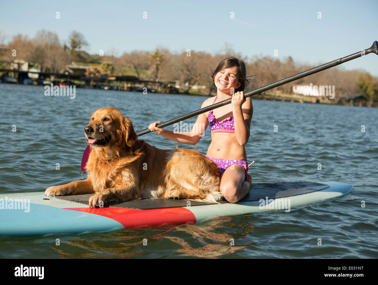 Un bambino e un cane recuperatore su un paddleboard sull'acqua. Foto Stock