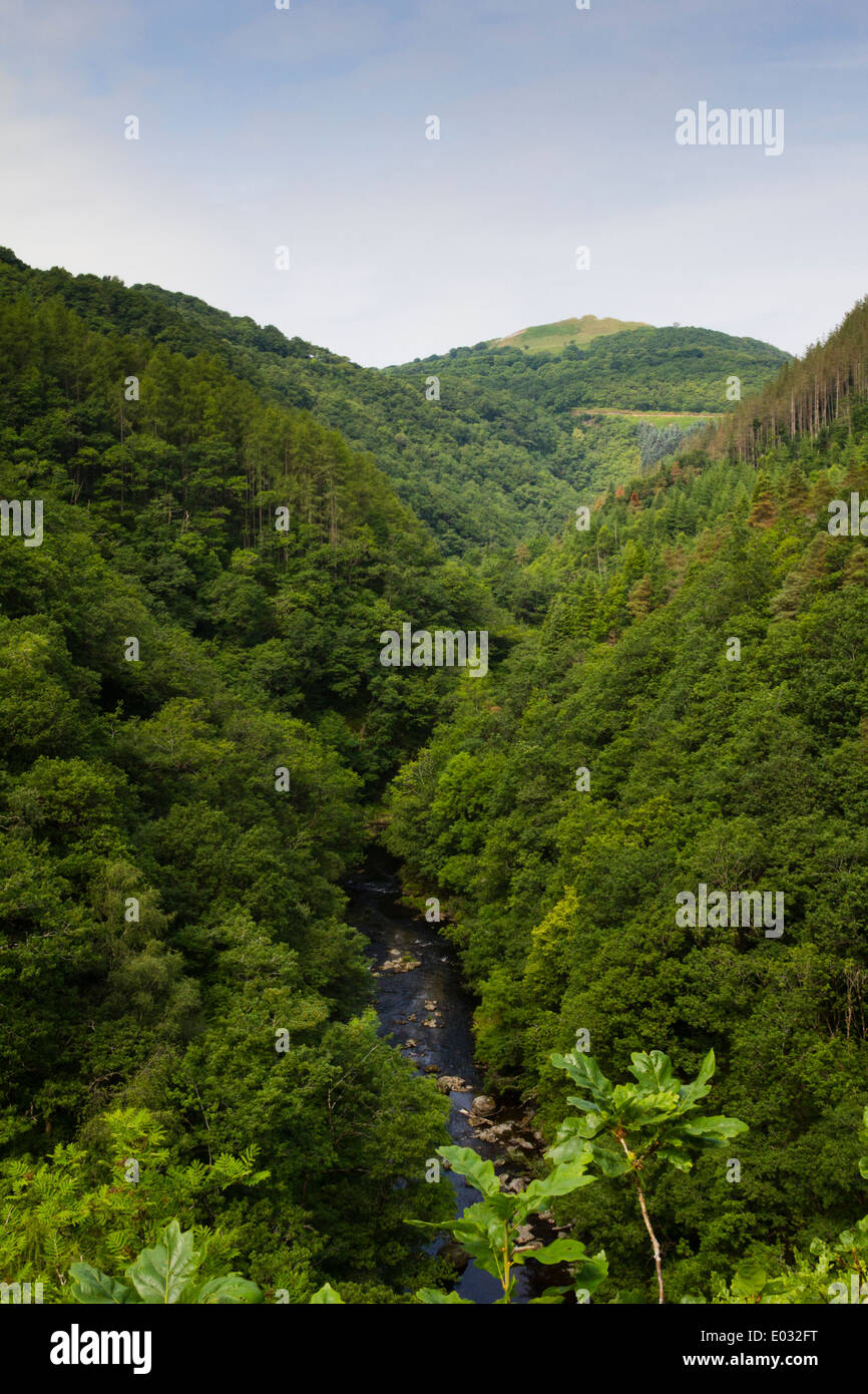 CEREDIGION, Galles vista di Afon Rheidol fiume, vicino al Ponte del Diavolo. Foto Stock