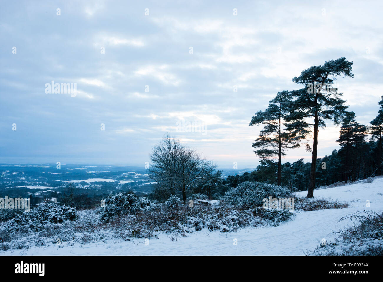 SURREY, Regno Unito vista dal Leith Hill nella neve. Foto Stock