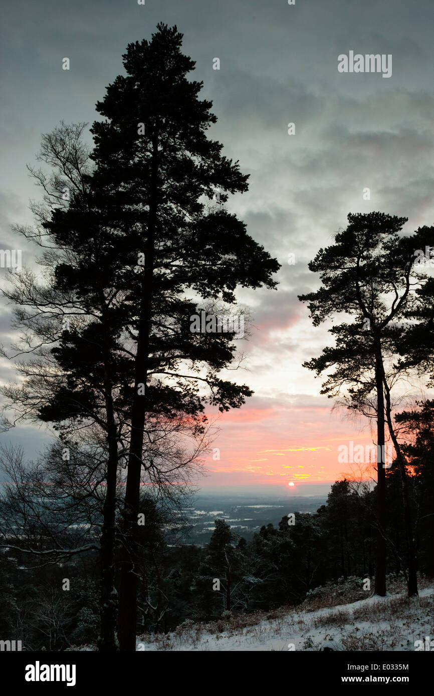 SURREY, Regno Unito set di Sole oltre il paesaggio innevato, Leith Hill. Foto Stock