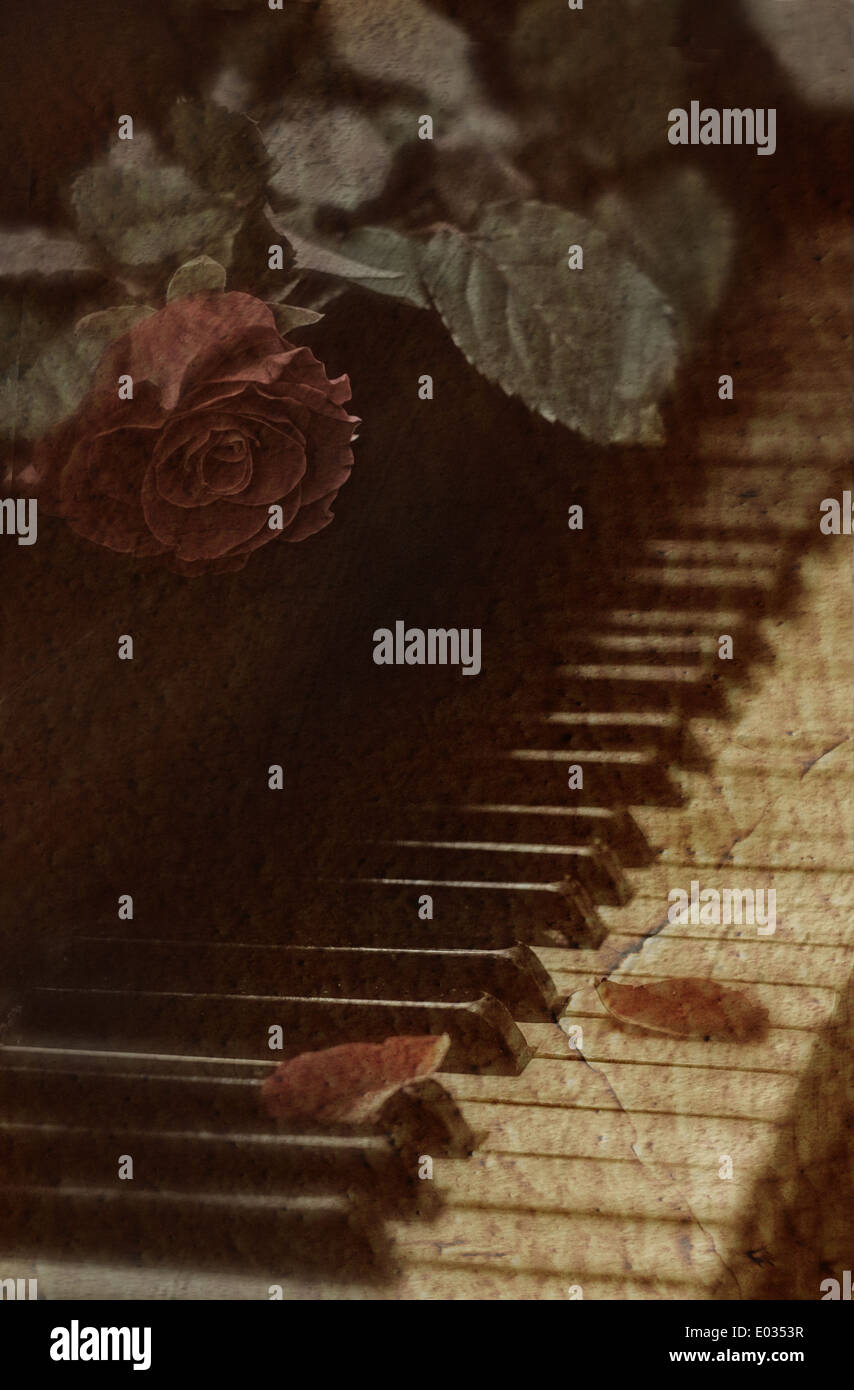 Live red rose giacenti sui tasti di un vecchio pianoforte Foto Stock