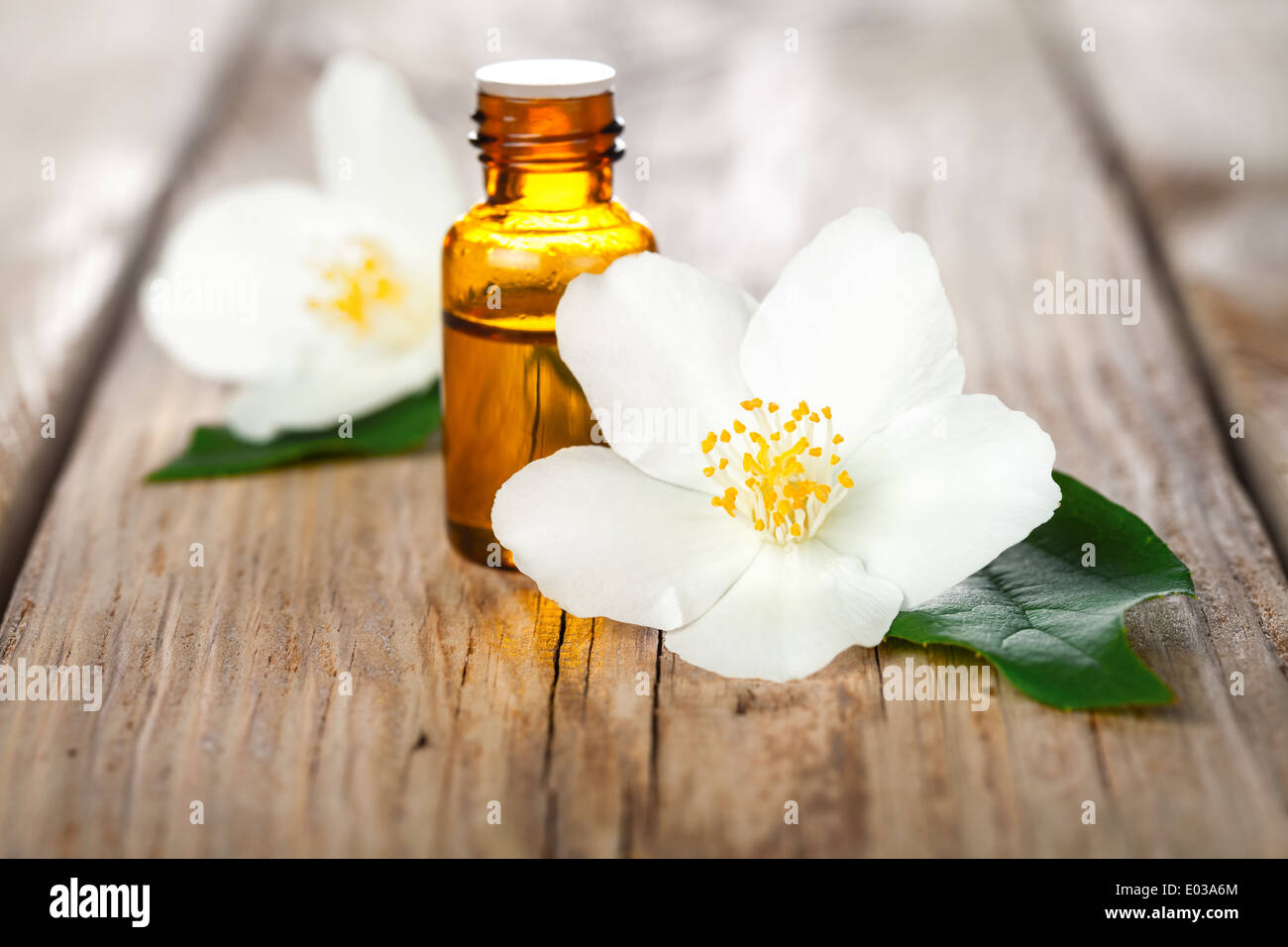 Fiori di gelsomino con olio essenziale su sfondo tabella. Trattamenti di bellezza Foto Stock