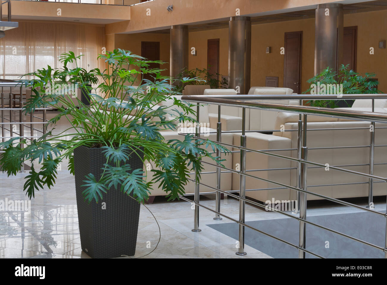 Interno con piscina piante decorative Foto Stock