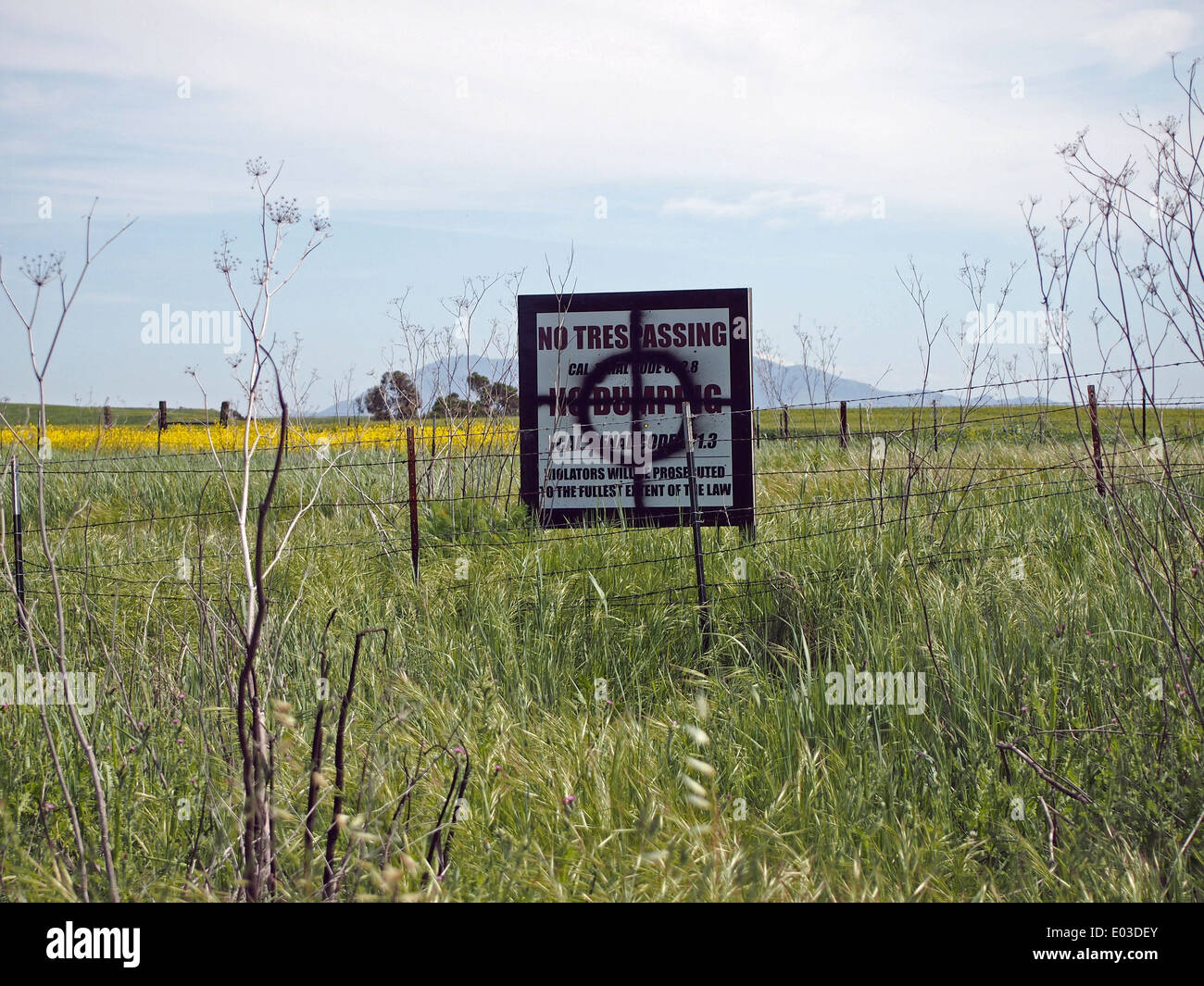 Graffiti del simbolo utilizzato da Zodiac Killer il segno lungo il lago di Herman Road in Benicia, California Foto Stock