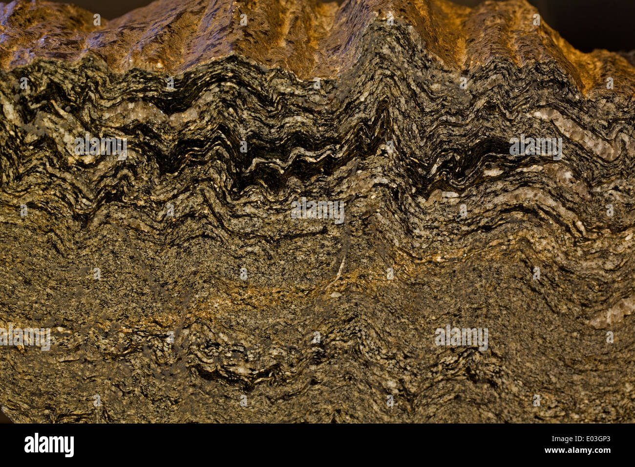 Lo scisto, rocce metamorfiche, Maryland, Stati Uniti d'America Foto Stock