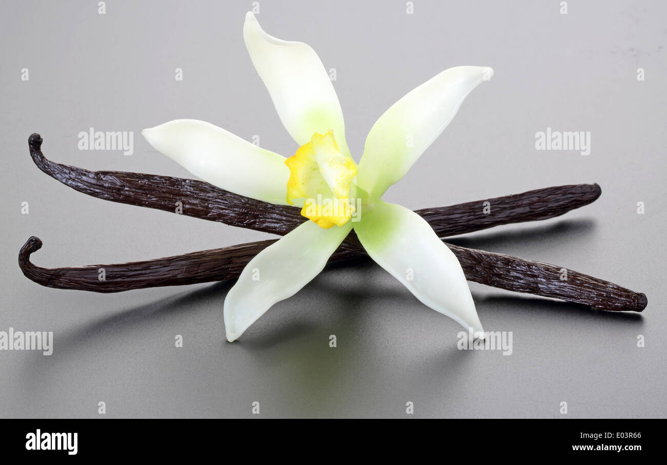 Fiori di vaniglia e pods Foto Stock