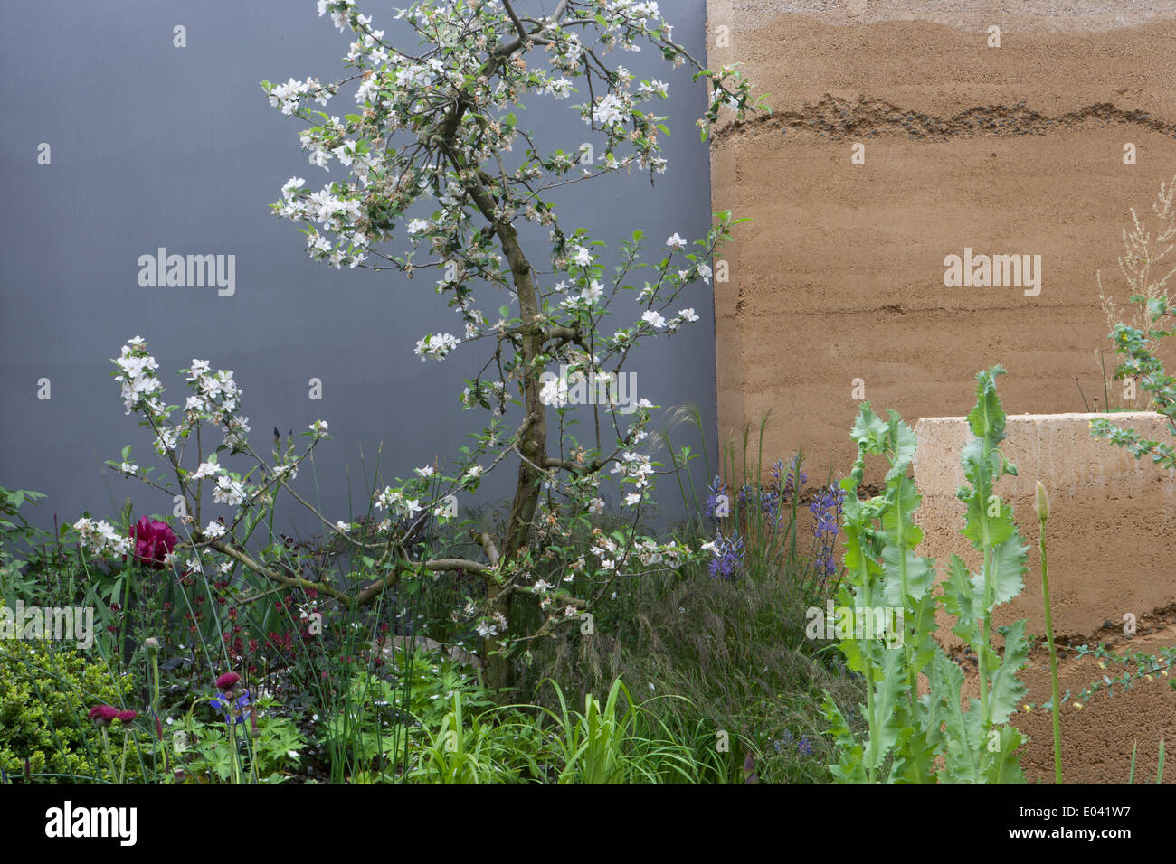 RHS Chelsea flower show 2013 centesimo centenario Foto Stock