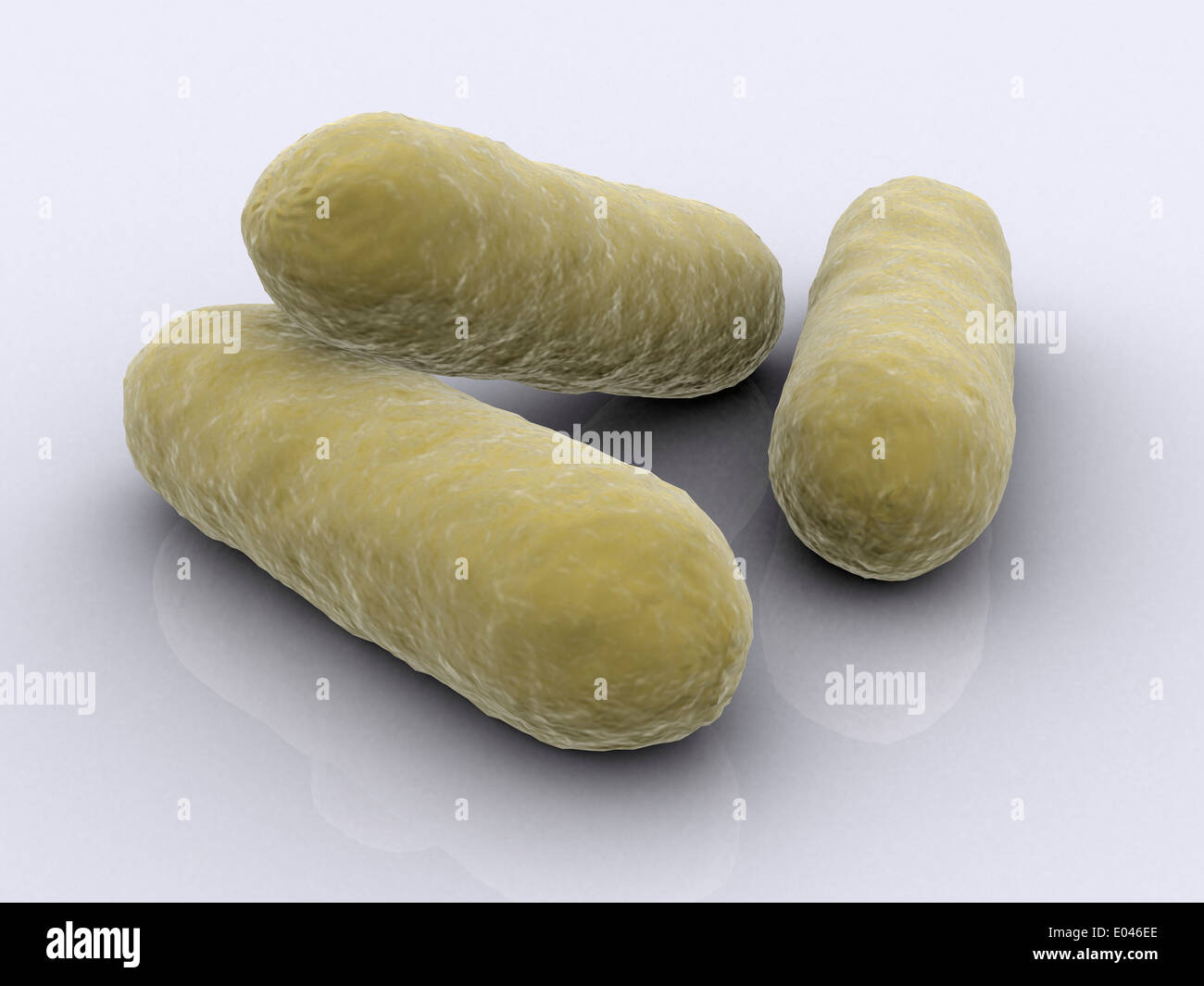 Immagine concettuale di batteri. Foto Stock