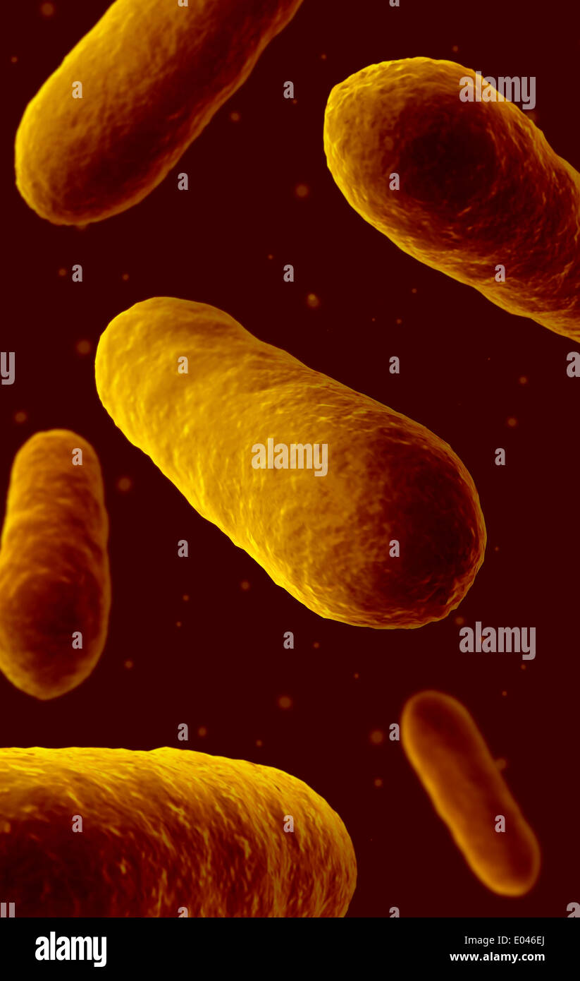 Vista microscopico di batteri. Foto Stock