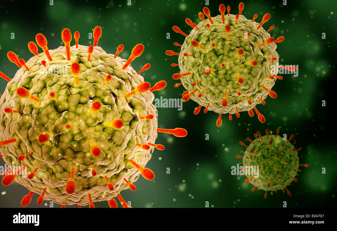 Vista microscopico di herpes virus. Foto Stock