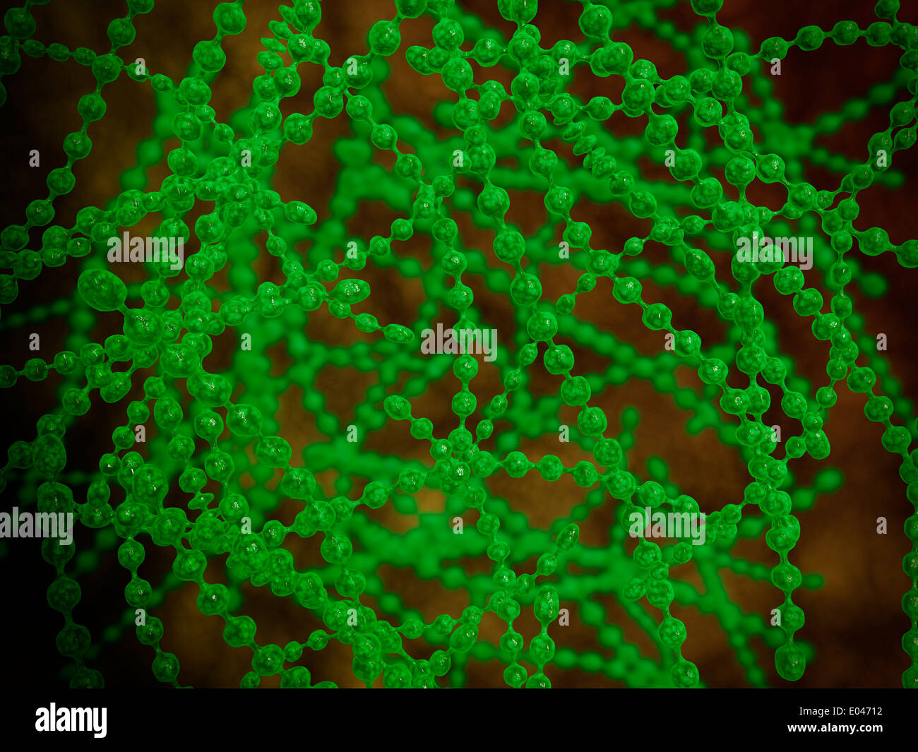Vista microscopico di cocci batterio. Foto Stock