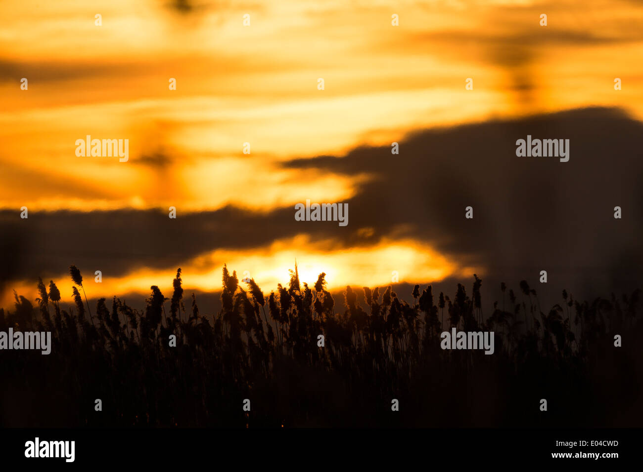 Bella caldo arancio, giallo red sky durante il sunrise / tramonto con alcune nuvole miscelati in - perfetto per gli sfondi Foto Stock