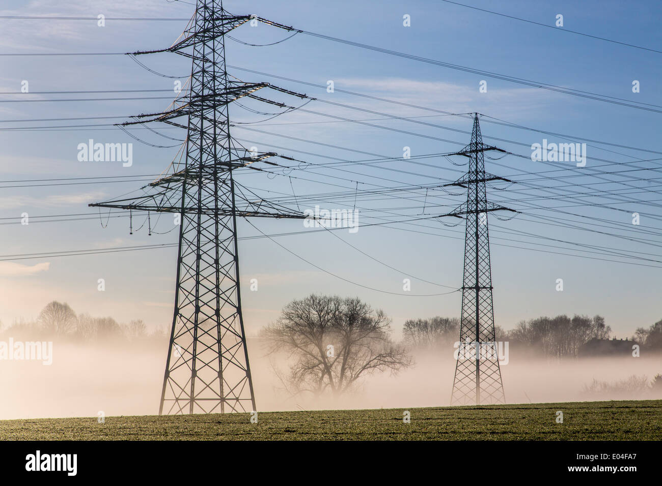Poli di potenza, linee elettriche nella nebbia mattutina, vicino a Bochum-Werne Foto Stock