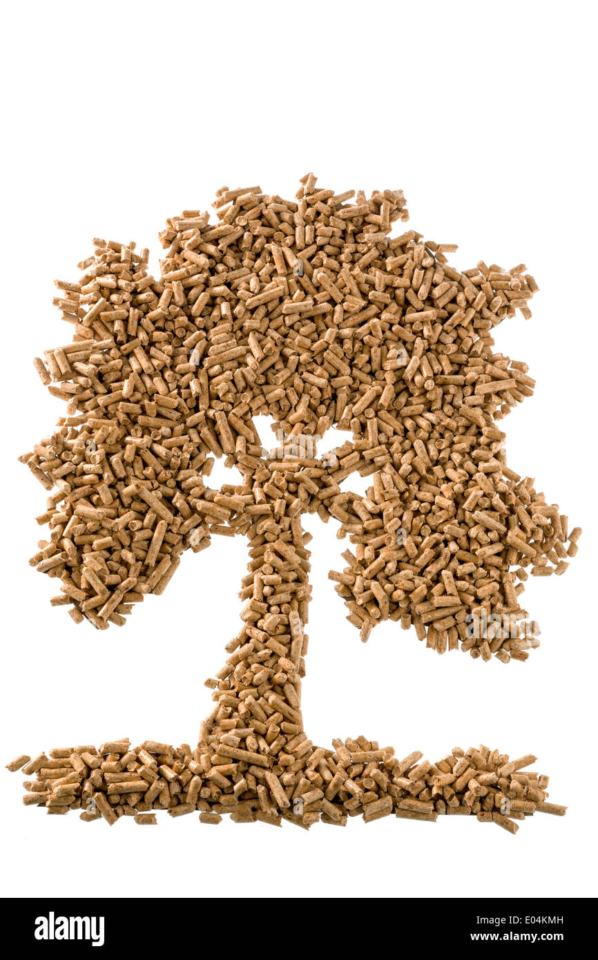 Foto simbolico albero da agglomerati in forma di Pellets per riscaldamento e il calore da alternativa, crescendo ancora energia., Symbolfoto Baum aus Pellets fue Foto Stock