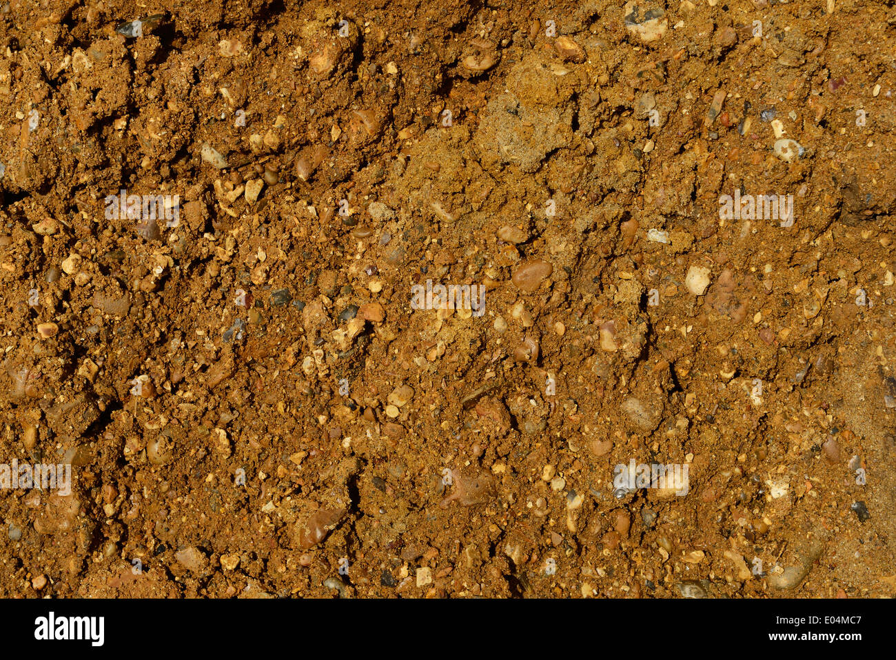 Close up dettaglio di terra e pietre Foto Stock