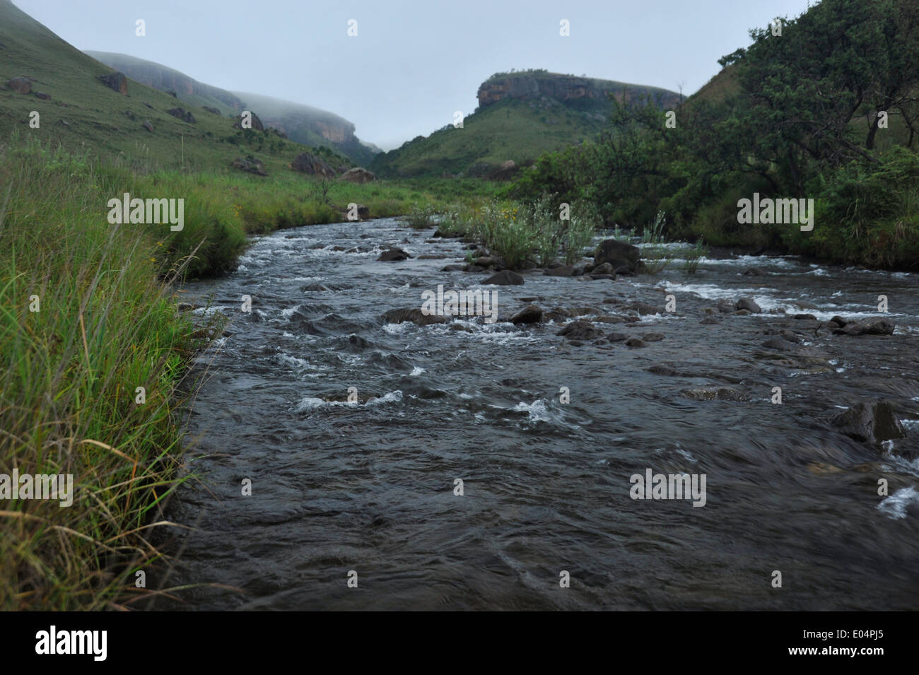 Il Castello dei giganti Game Reserve, KwaZulu-Natal, Sud Africa, bushman's fiume che scorre attraverso di Drakensberg uKhahlamba, sito del patrimonio mondiale, paesaggio Foto Stock