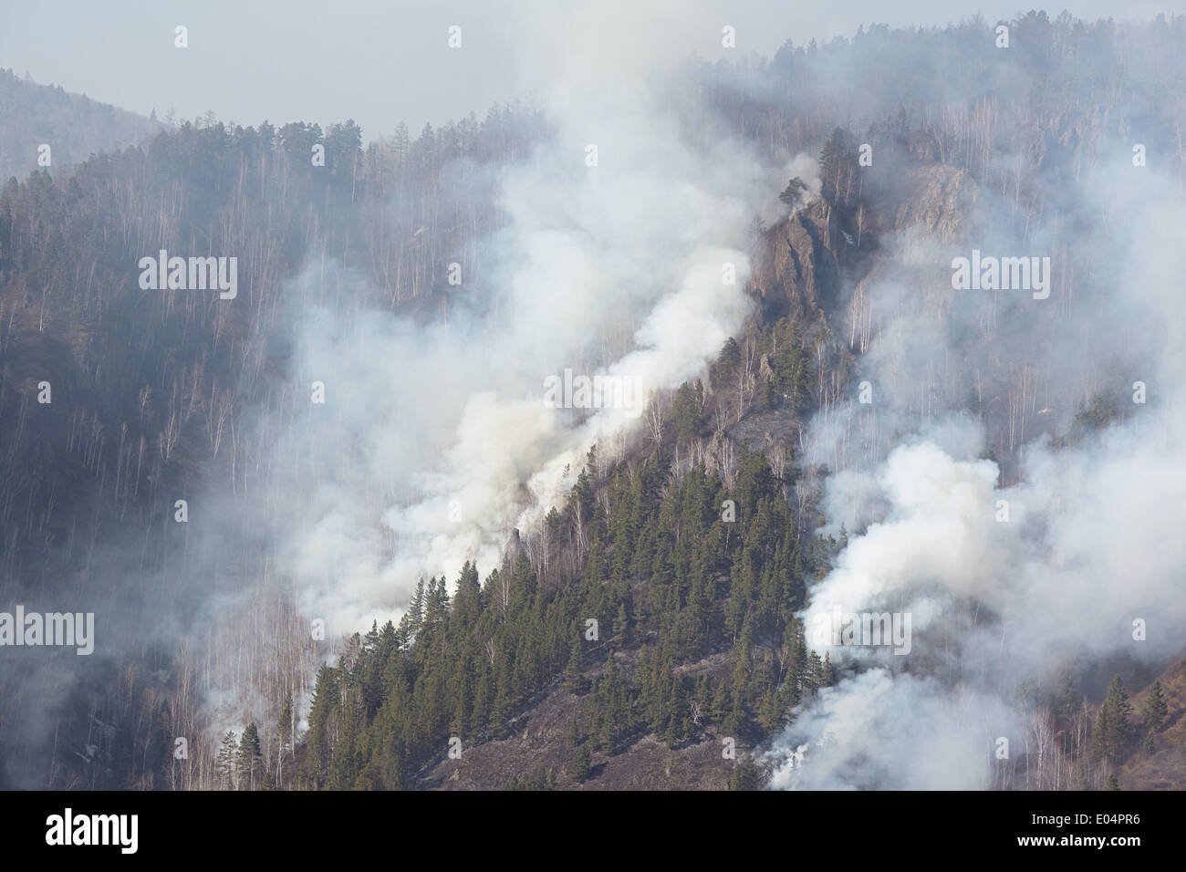 Gli incendi nella foresta Foto Stock