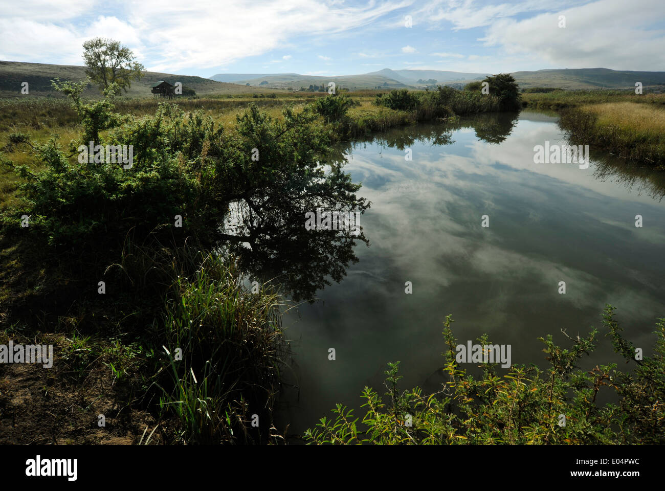 Wakkerstroom - Mpumalanga in Sudafrica acqua Wetland Bird Reserve, premier birdwatching park, il riflesso del cielo su acqua, paesaggio, spasmi, safari Foto Stock