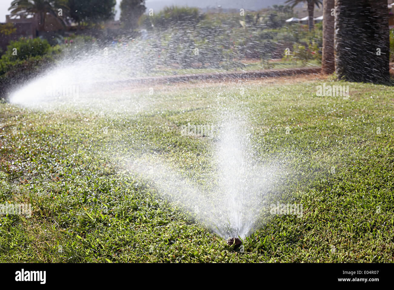 Impianti di irrigazione automatici Foto Stock