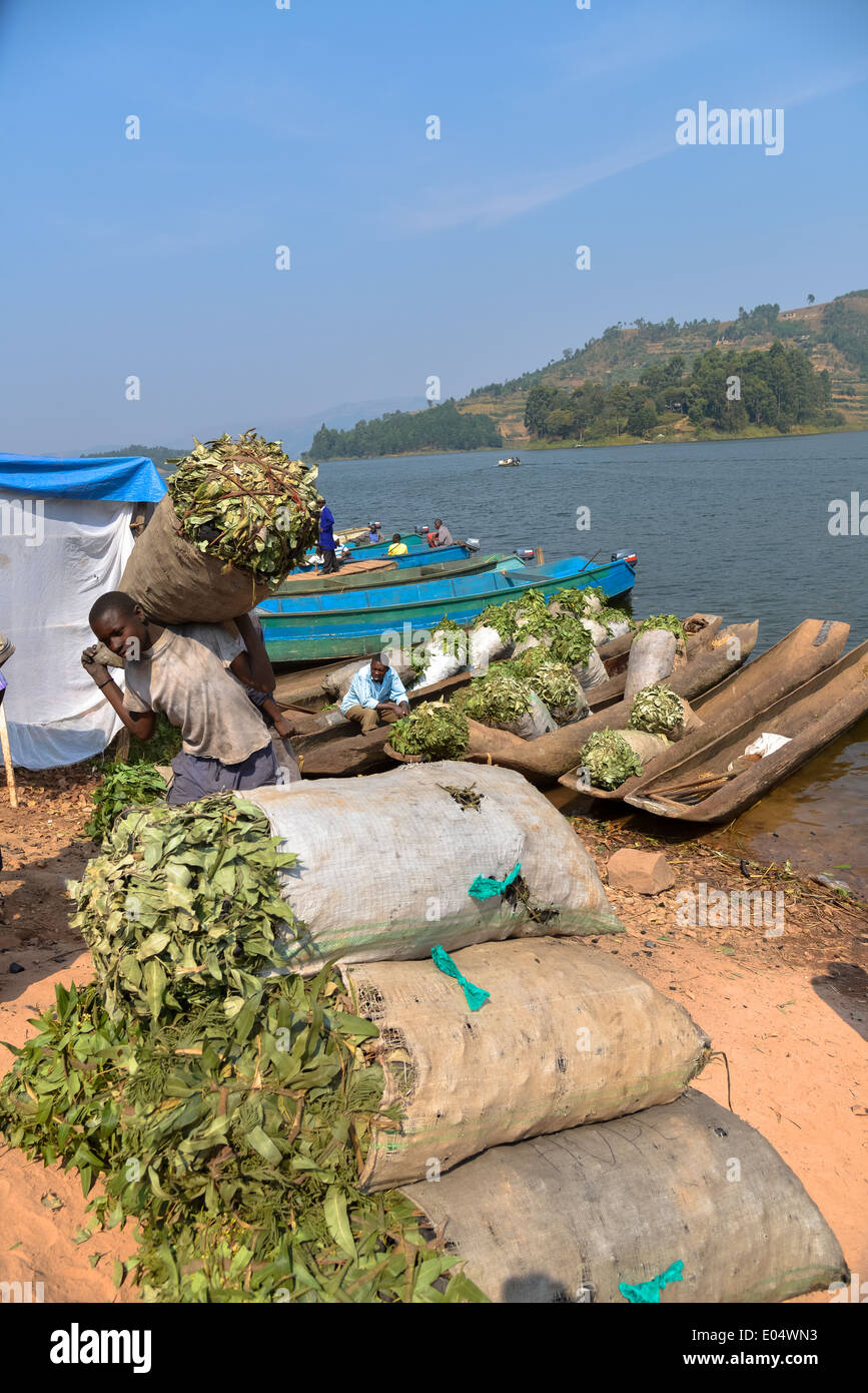 Canoe con alimenti per animali al mercato presso il cratere del lago bunyonyi e in Uganda, Africa Foto Stock