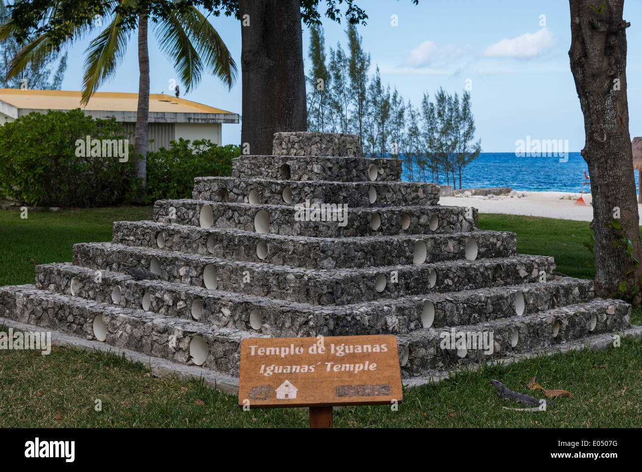 Tempio di iguana, una struttura in pietra imitano tempio Maya, set per iguane vive in questo beach resort. Cozumel, Messico. Foto Stock