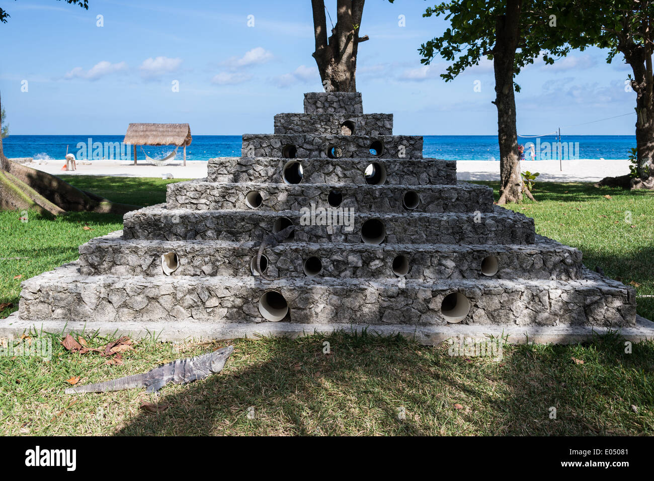 Tempio di iguana, una struttura in pietra imitano tempio Maya, set per iguane vive in questo beach resort. Cozumel, Messico. Foto Stock