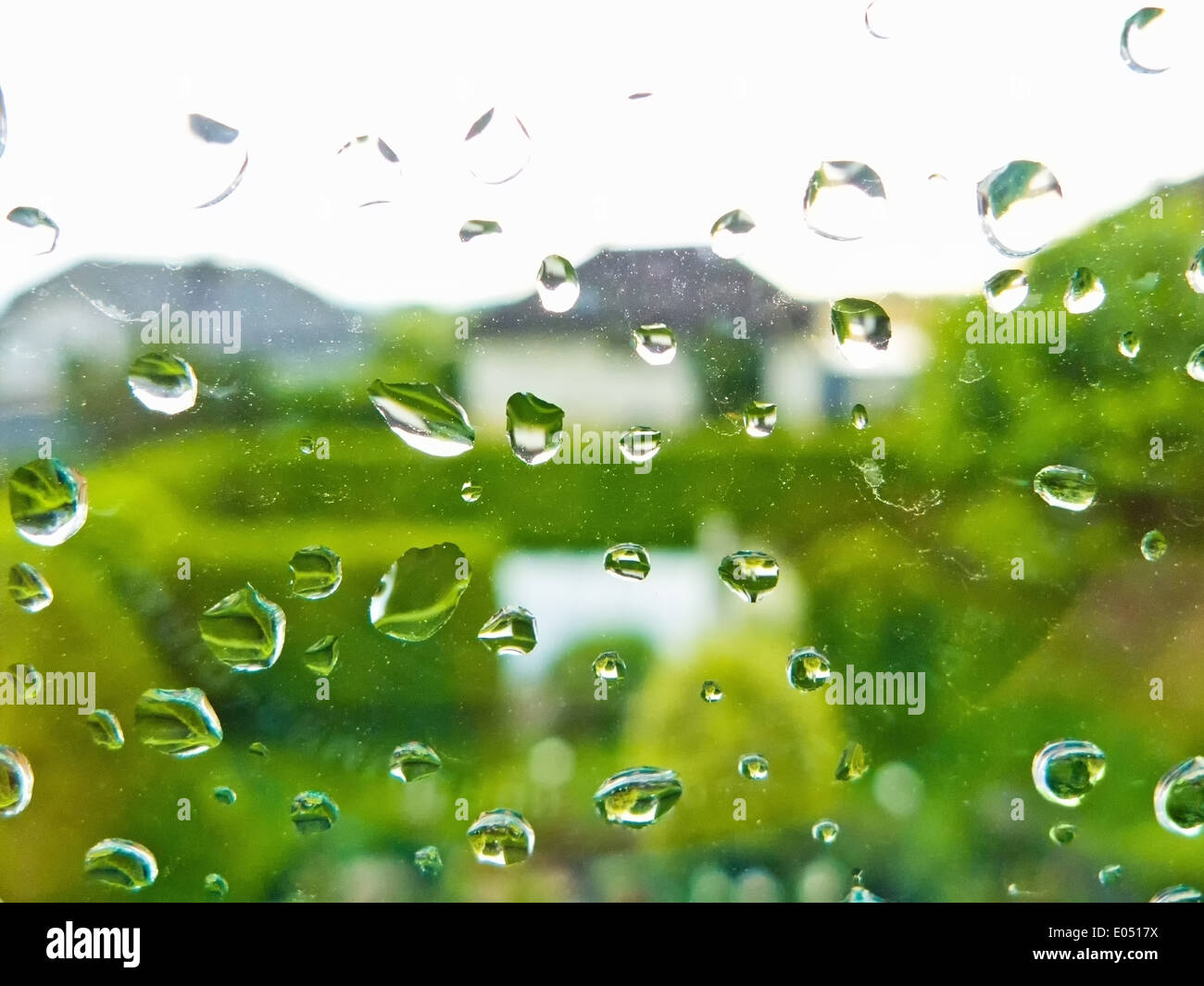 Molte le gocce di pioggia in caso di maltempo su un vetro di finestra. Meteo pioggia, Viele Regentropfen bei Schlechtwetter auf einer Fensterscheibe. Ri Foto Stock