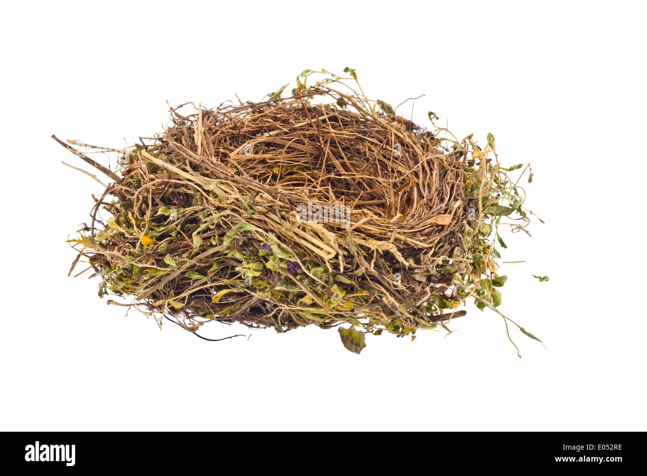 Il vuoto il nido di un uccello. Svuotare Bird's Nest. Immagine simbolica per costruzione di salvataggio e la costruzione di una casa, Das leere Nest ei Foto Stock