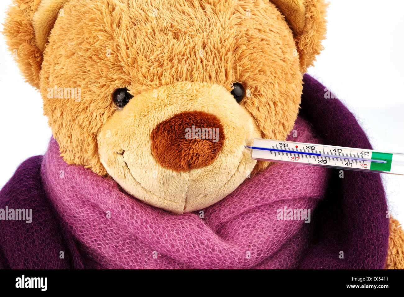 Un orso di peluche con un termometro di febbre in bocca. Foto simbolico per Verkuehlung, influenza e febbre, Ein Baer Plues aus Foto Stock