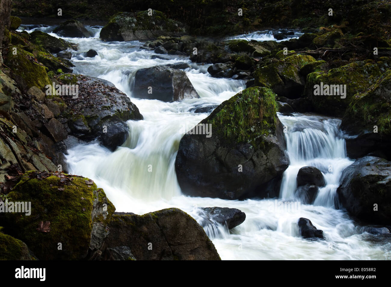 Un ruscello con acqua fluente e pietre (rock), Ein Bach mit fliessendem Wasser und Steinen (Felsen) Foto Stock