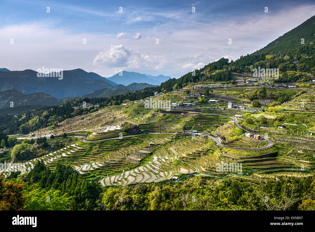 Giapponese terrazze di riso a Maruyama-senmaida, Kumano, Giappone. Foto Stock