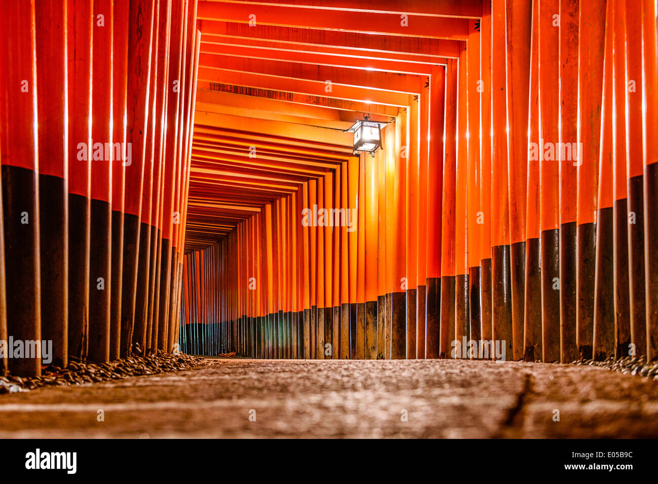Fushimi Inari Taisha torii gates a Kyoto, in Giappone. Foto Stock