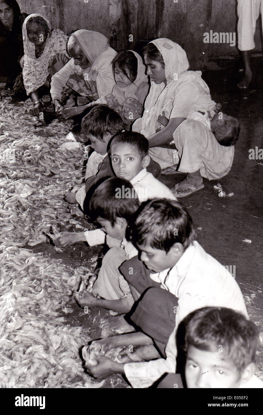 Donne povere e bambini che scratano i gamberi a Karachi, Pakistan Foto Stock