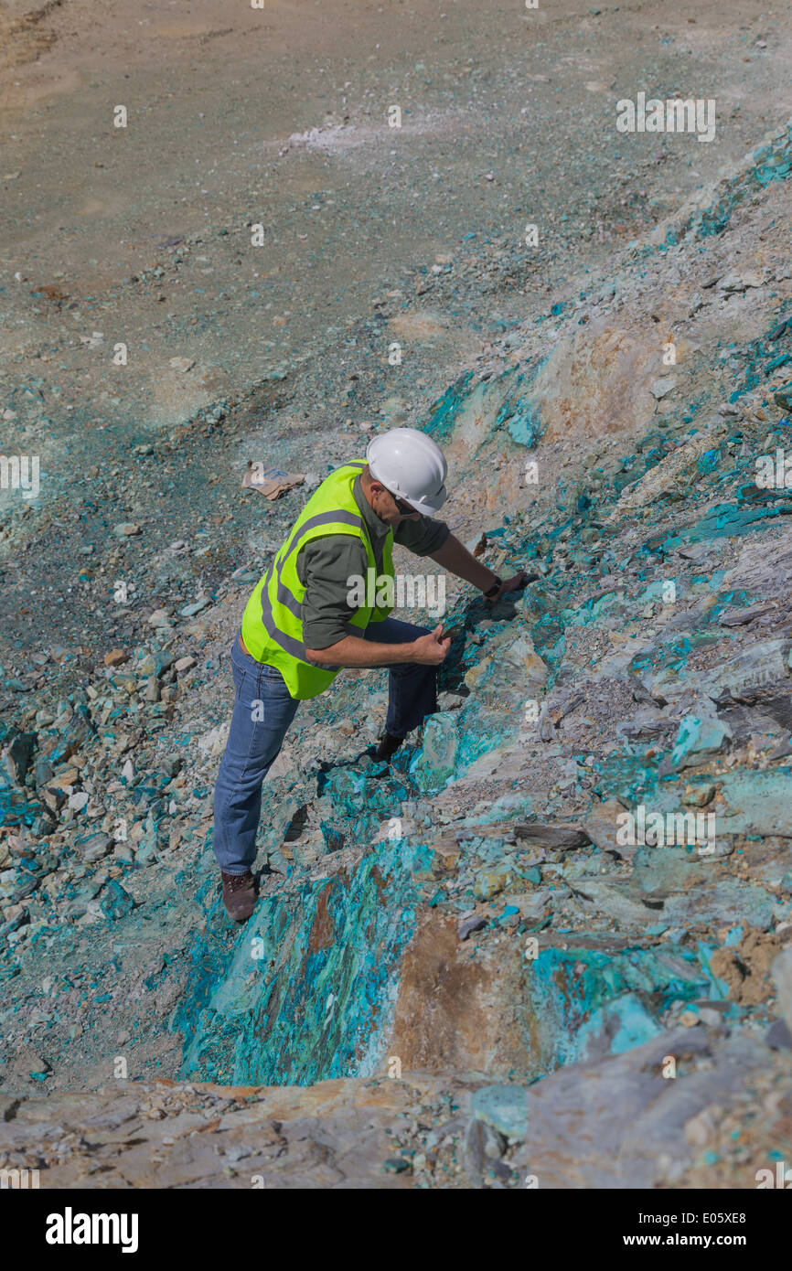 Un geologo esamina alcune rame rocce ricche in un grande cast aperto miniera di rame. Foto Stock