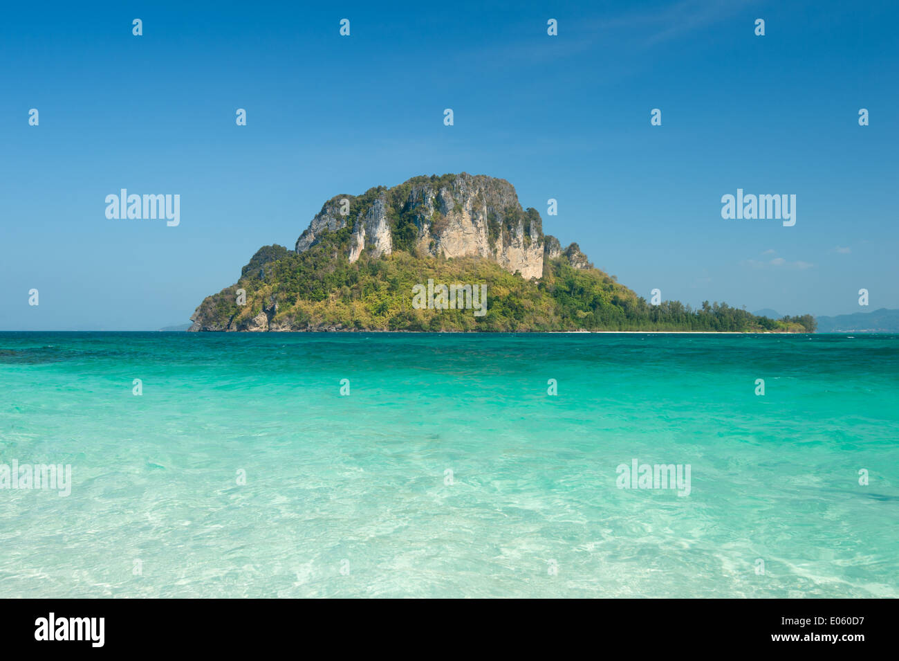 Isola nel mare di verde Foto Stock