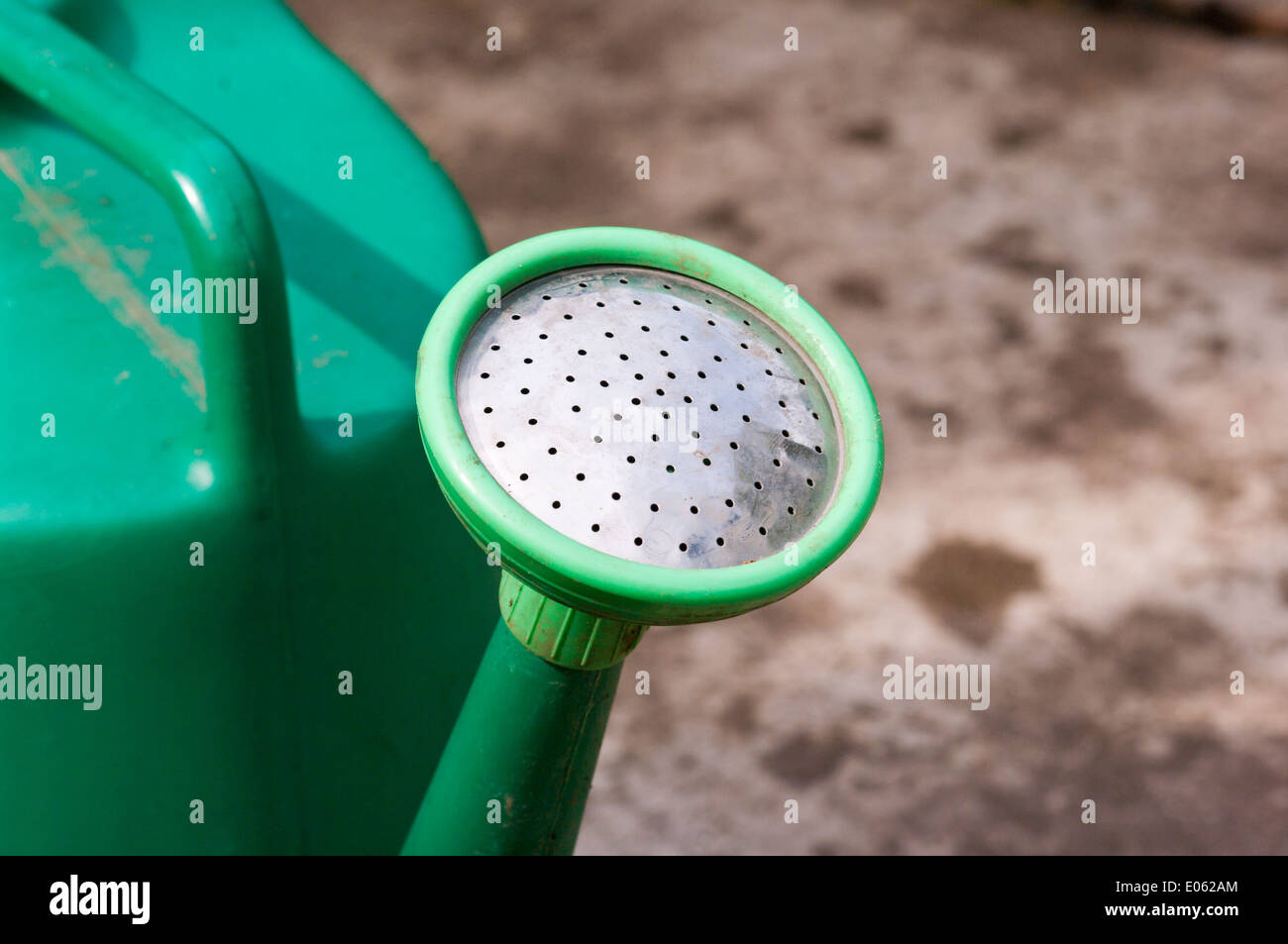 Green Annaffiatoio in plastica rosa Foto Stock