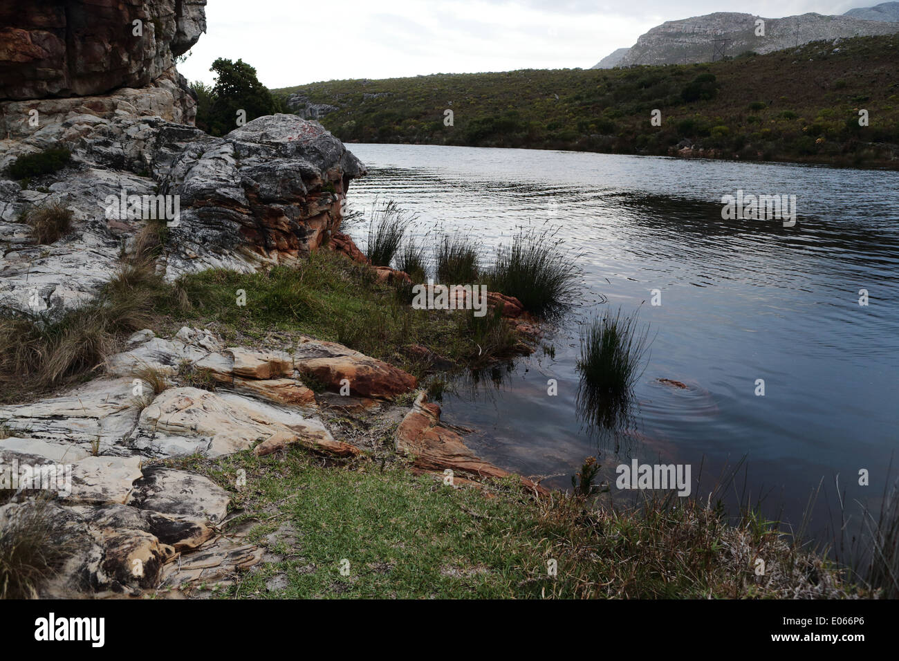 Palmiet fiume al crepuscolo, Kleinmond Foto Stock