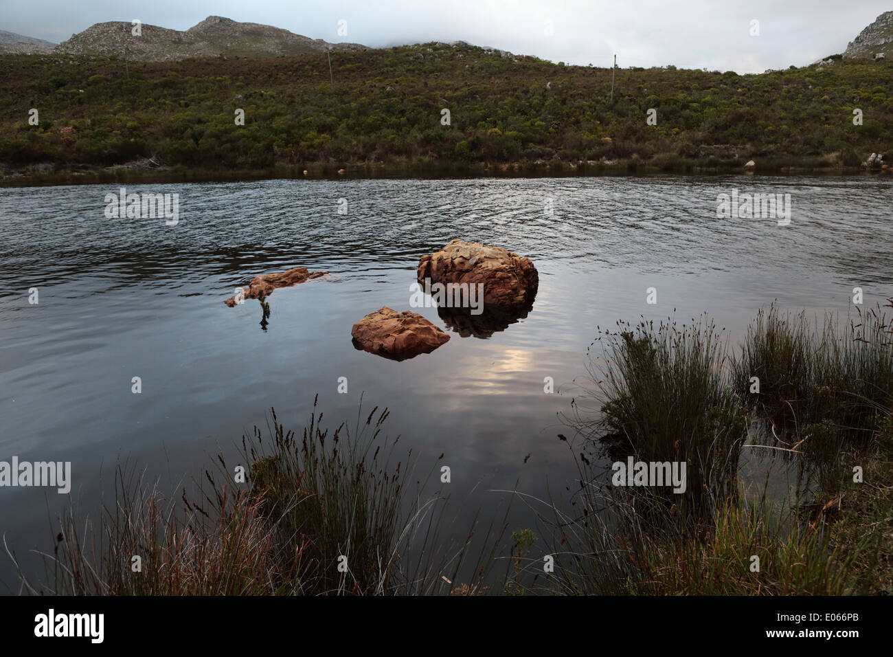Palmiet fiume al crepuscolo, Kleinmond Foto Stock