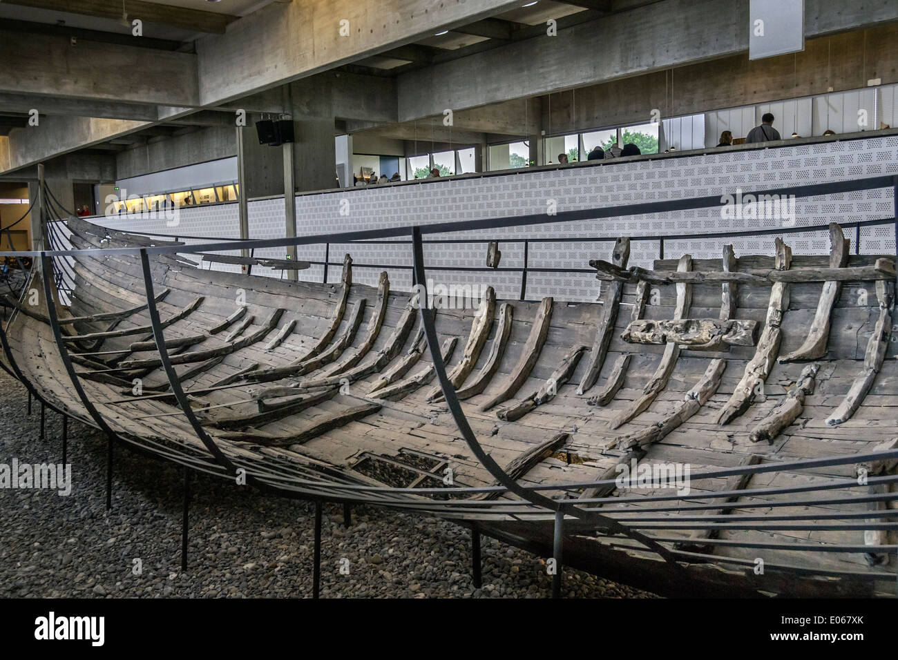 Resti di Skuldelev 1 Viking Ship, Museo della Nave Vichinga, Roskilde, Danimarca Foto Stock