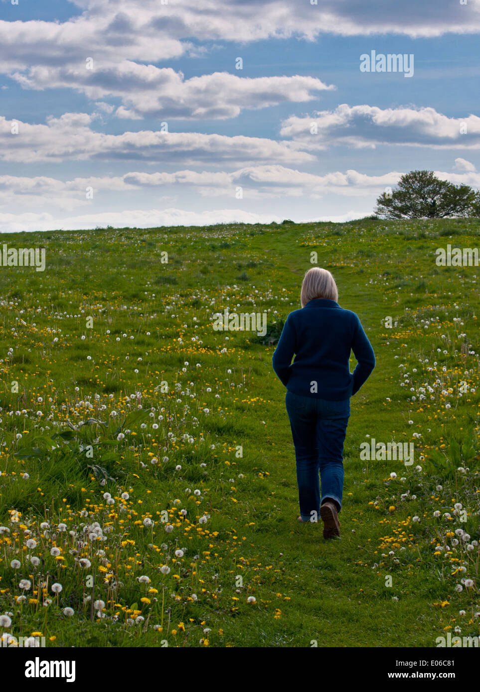 Anonimo la mezza età donna femmina di camminare su campo Foto Stock